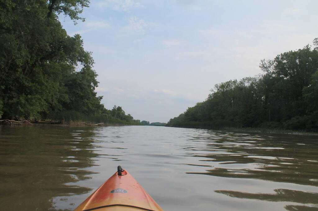 Photo: Heading Back Photo: Heading Back