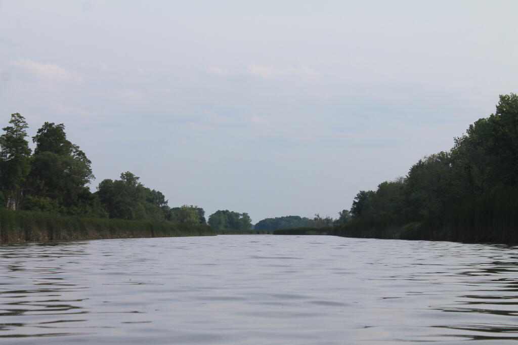 Photo: Water Photo: Water