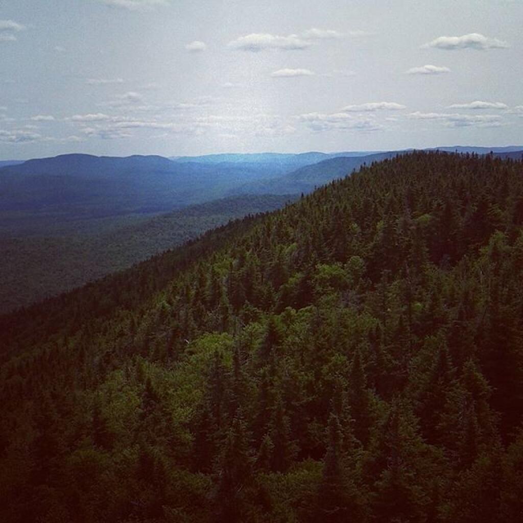 Photo: West towards Inlet
