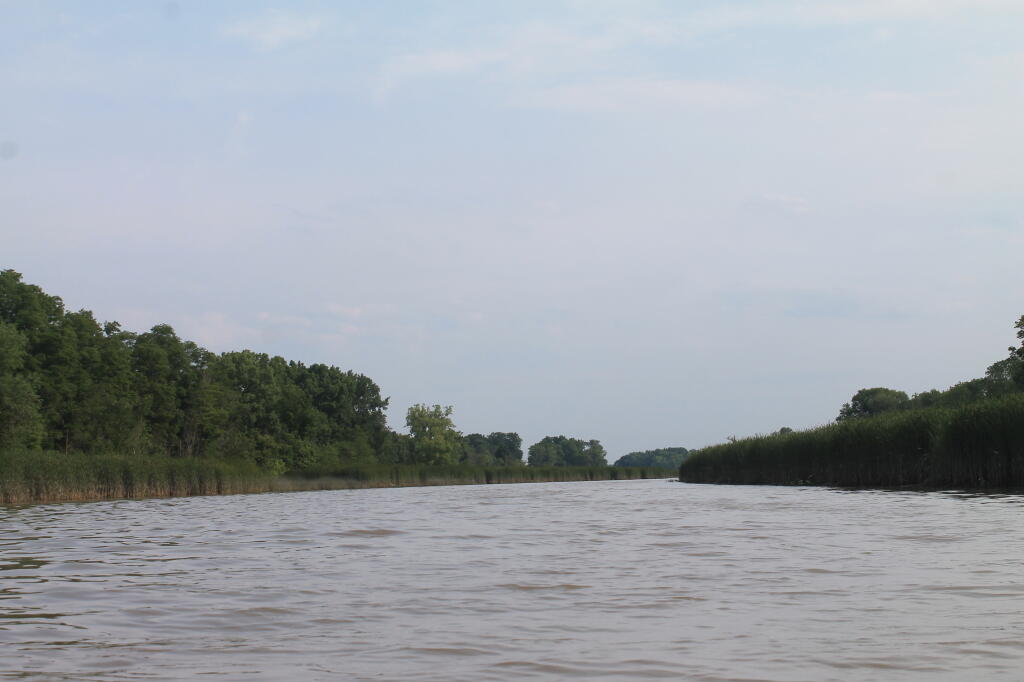 Photo: A Bit Choppy