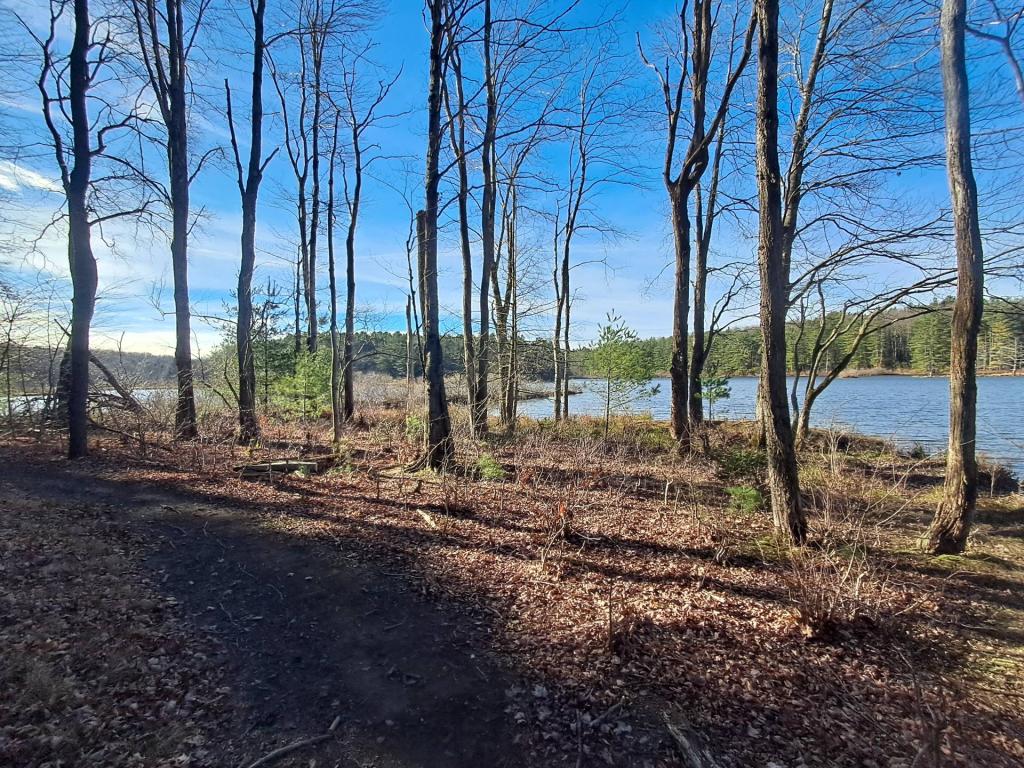 Photo: Autumn Morning on Stoney Pond