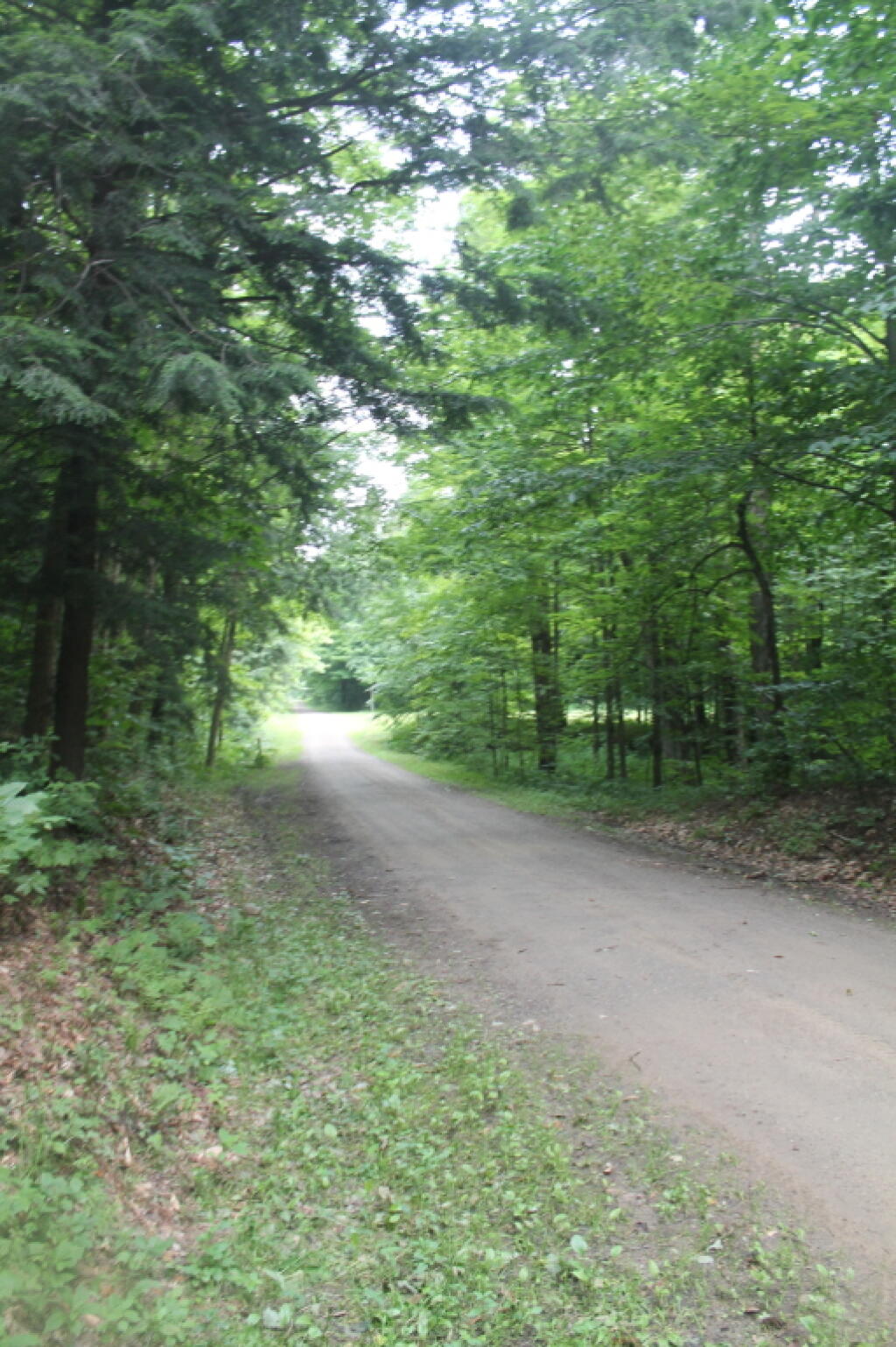 Photo: Bargy Road