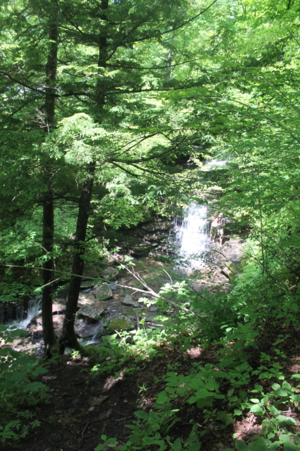 Photo: Small Waterfall Near Pixley Falls