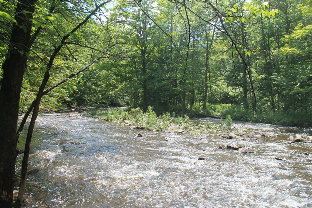Photo: Looking Downstream