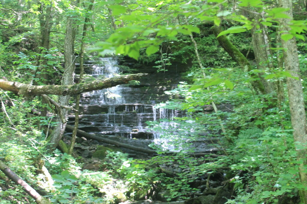 Photo: Secluded Water Fall