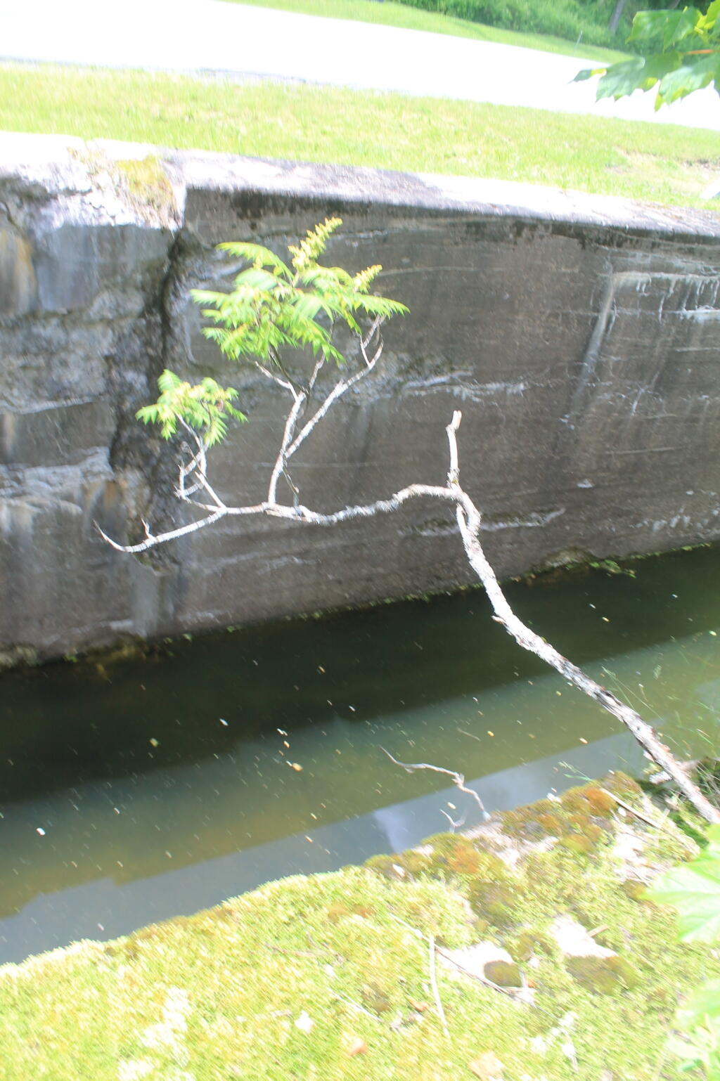 Photo: Another Lock Along NY 46