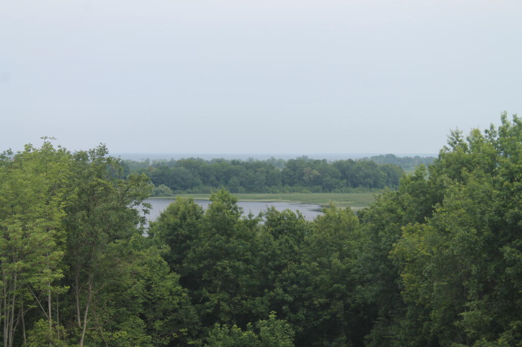 Photo: South Colwell Pond