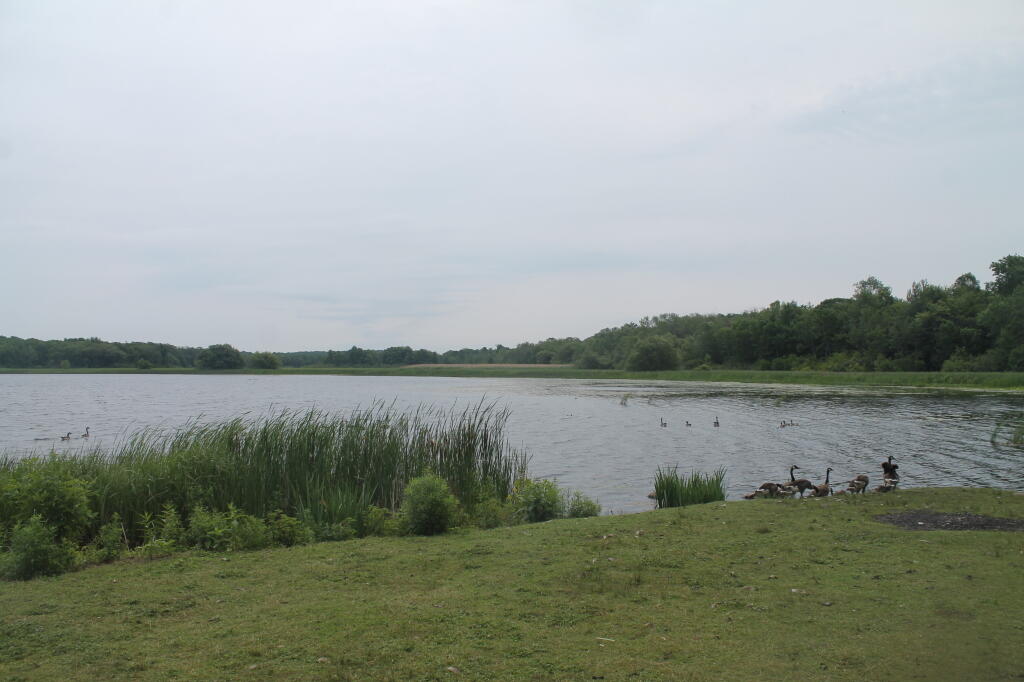 Photo: North at Colwell Pond