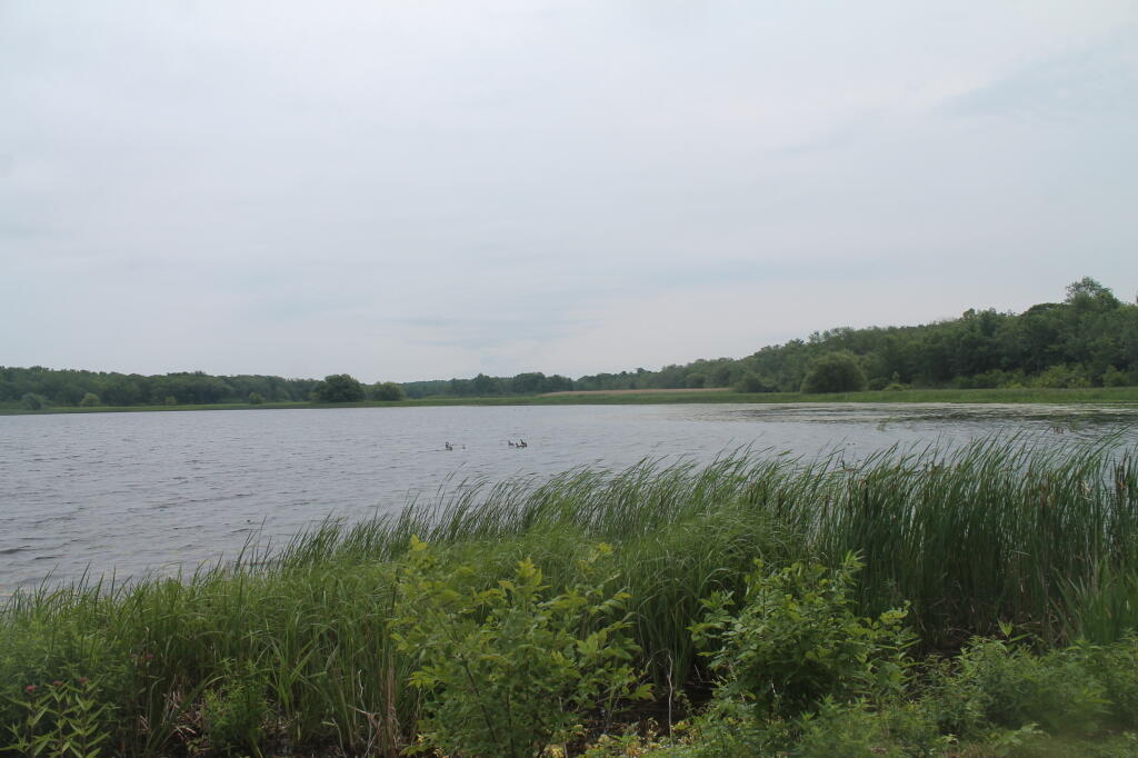 Photo: East on Lake
