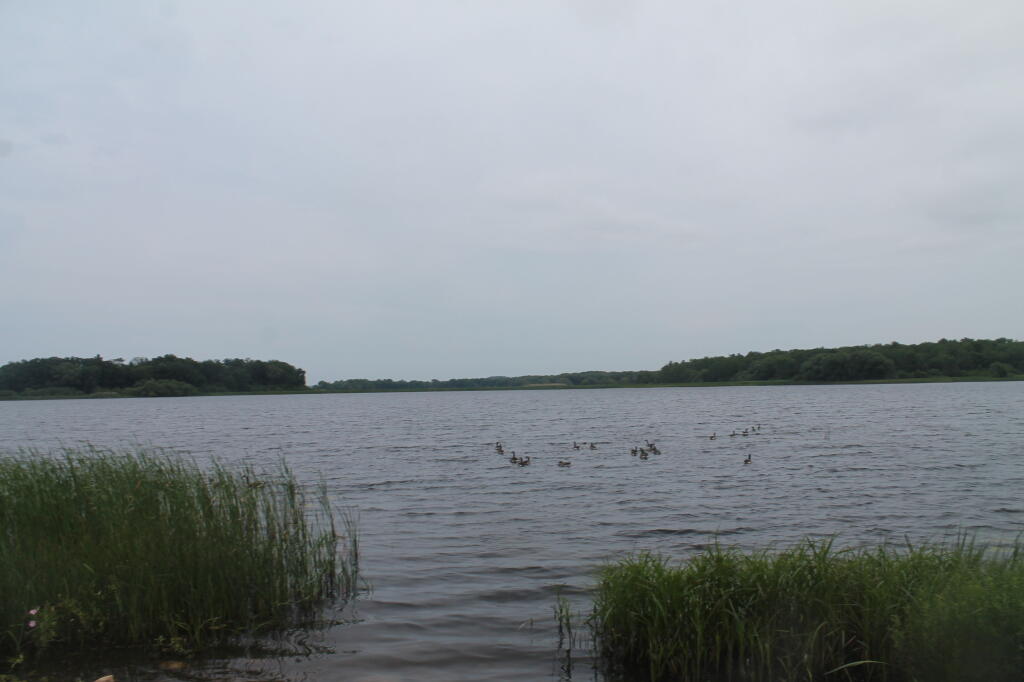 Photo: North