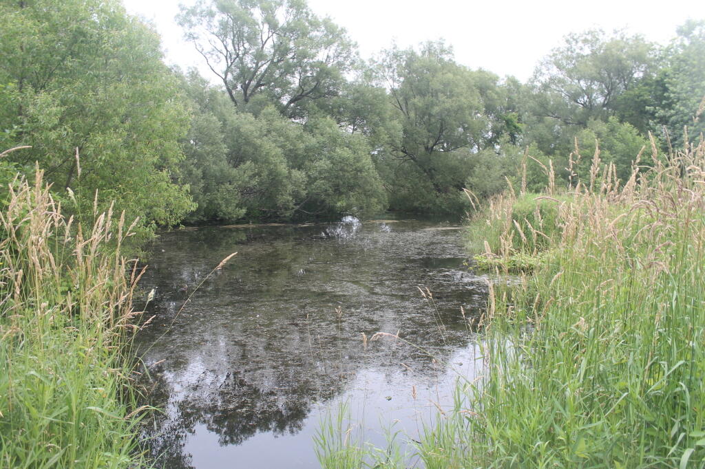 Photo: Small Man-Made Pond