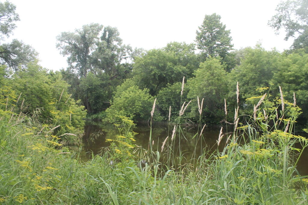 Photo: South Sandy Creek