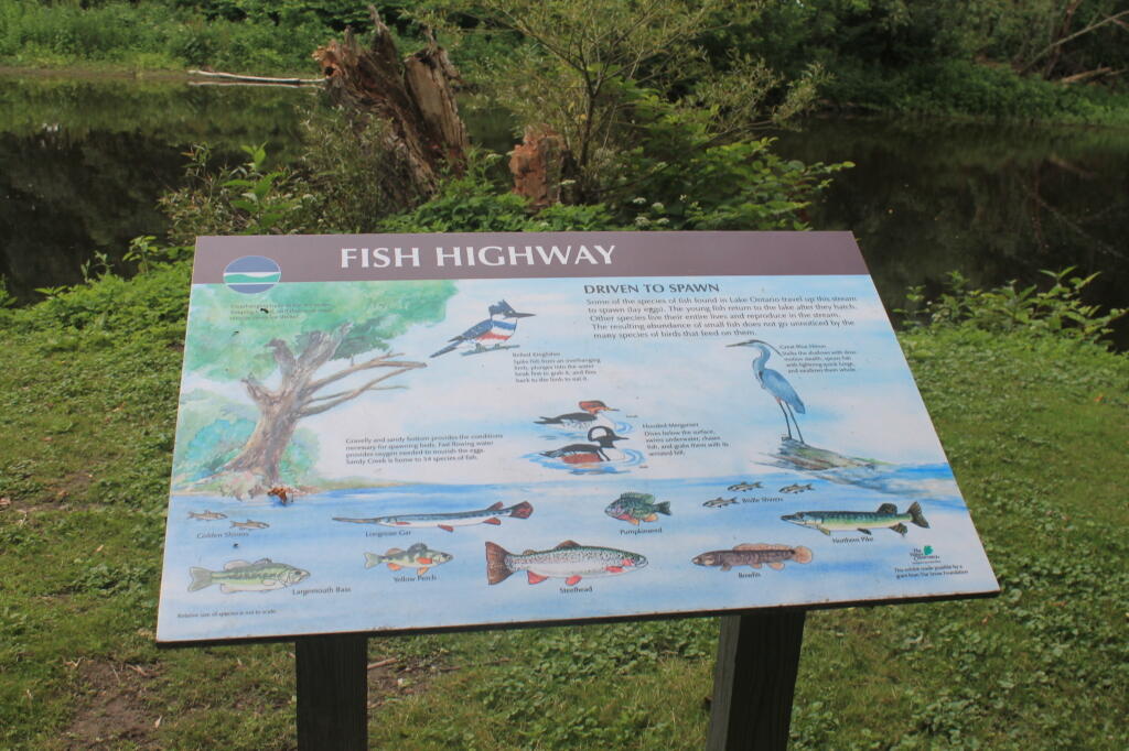 Photo: Fish Highway Sign