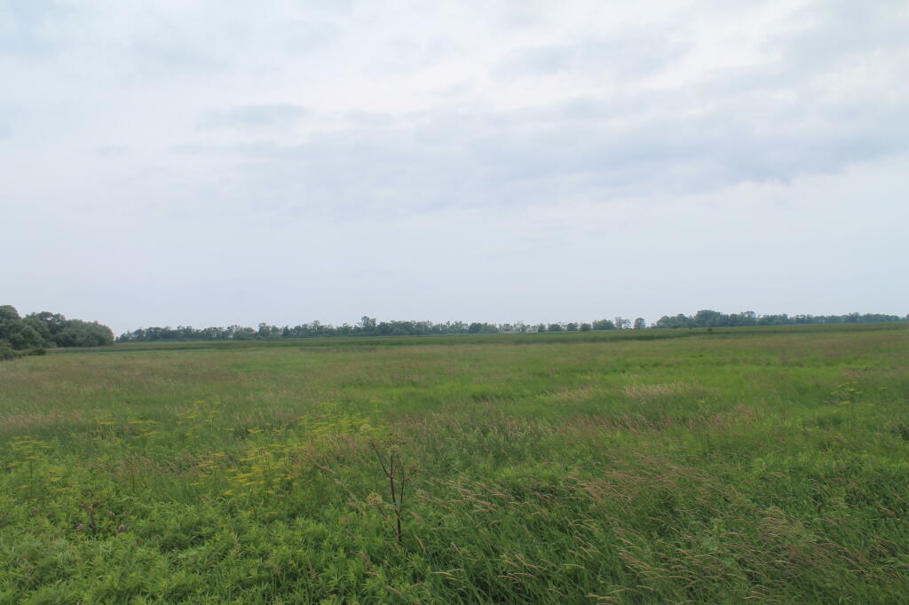 Photo: One of Largest Freshwater Marshes in NYS