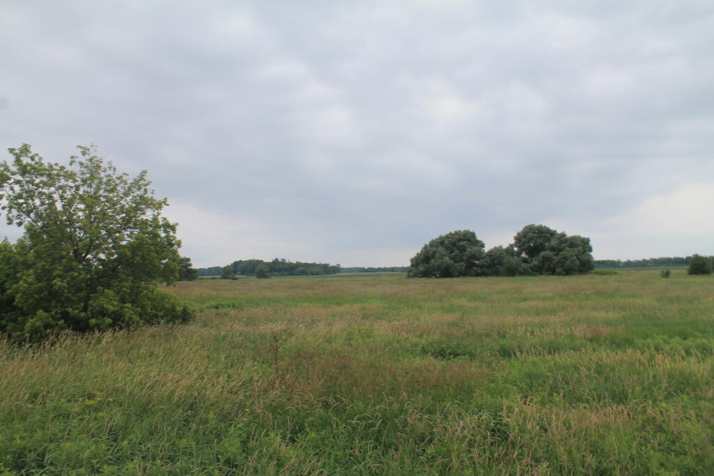 Photo: Marsh