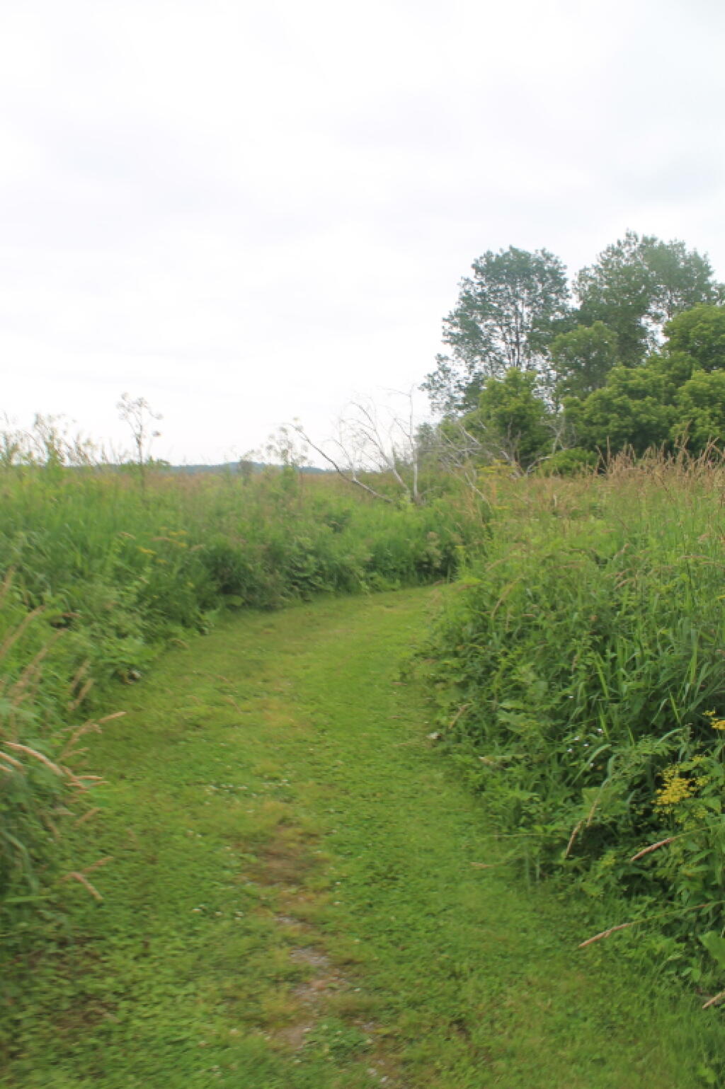Photo: Trail