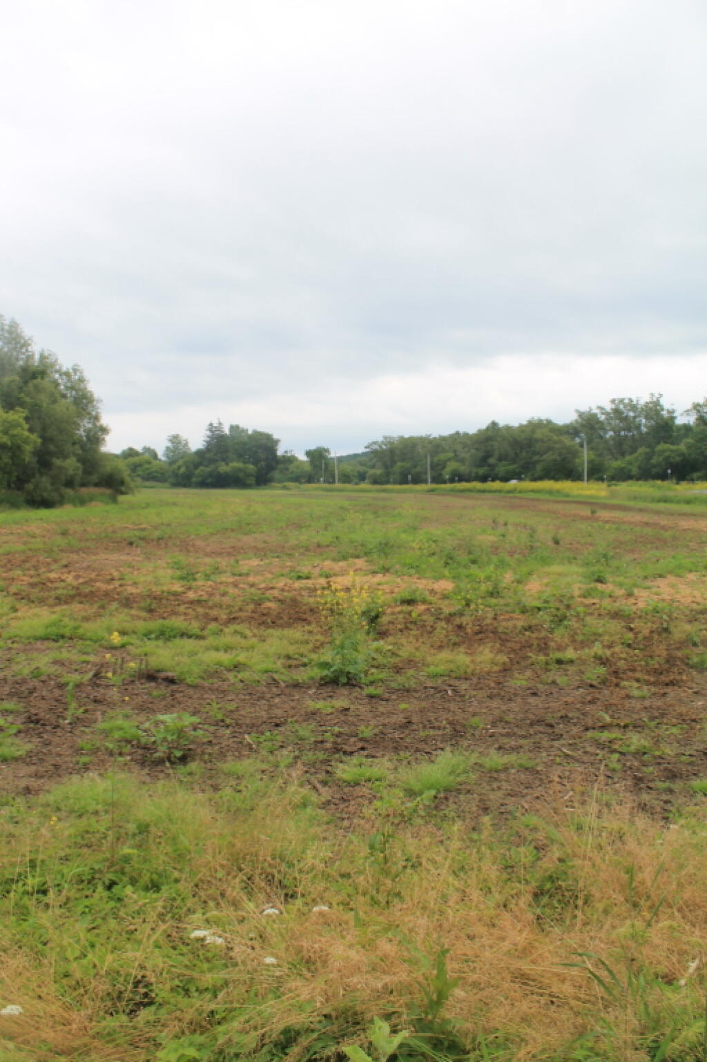 Photo: Unplanted Field Along NY 3