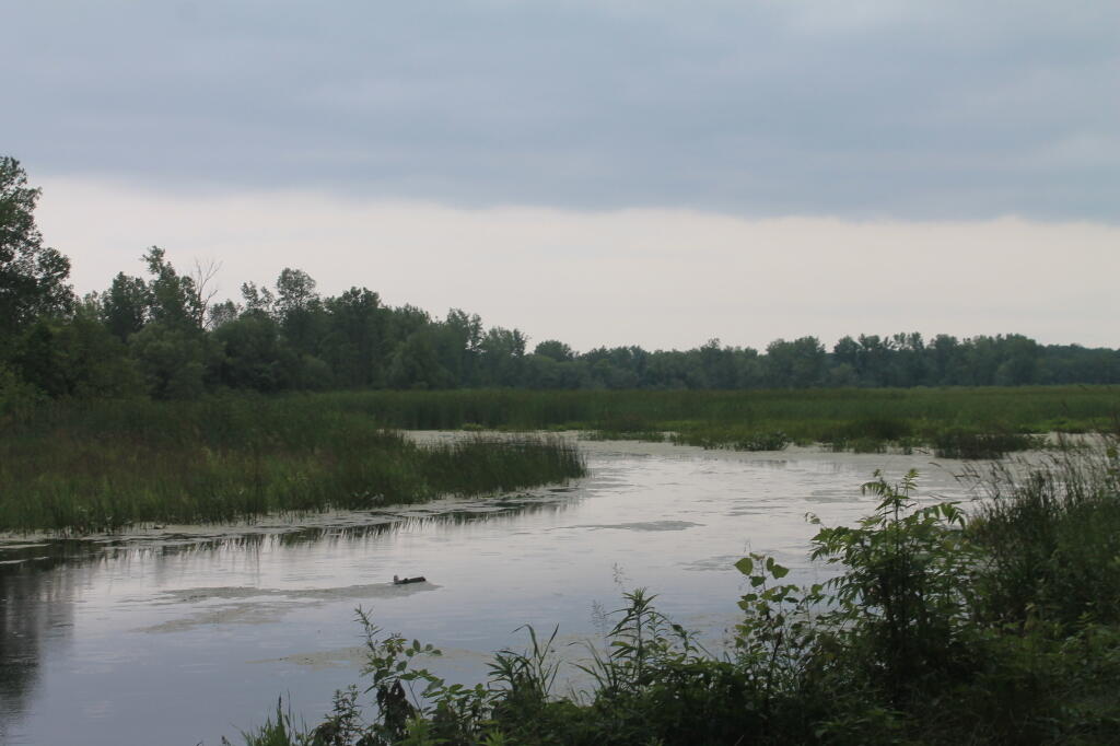 Photo: Lakeview Pond