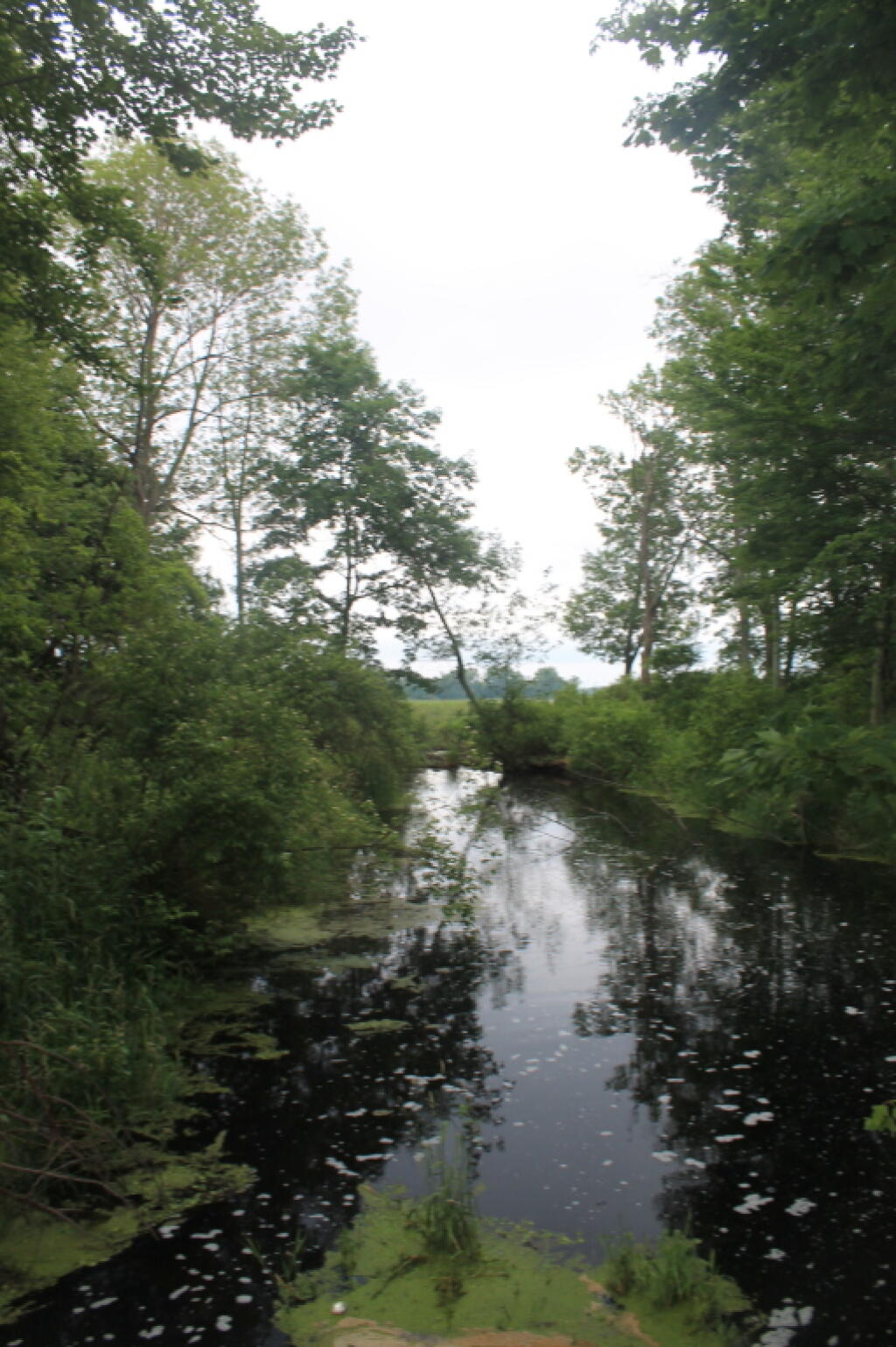 Photo: Darkwater