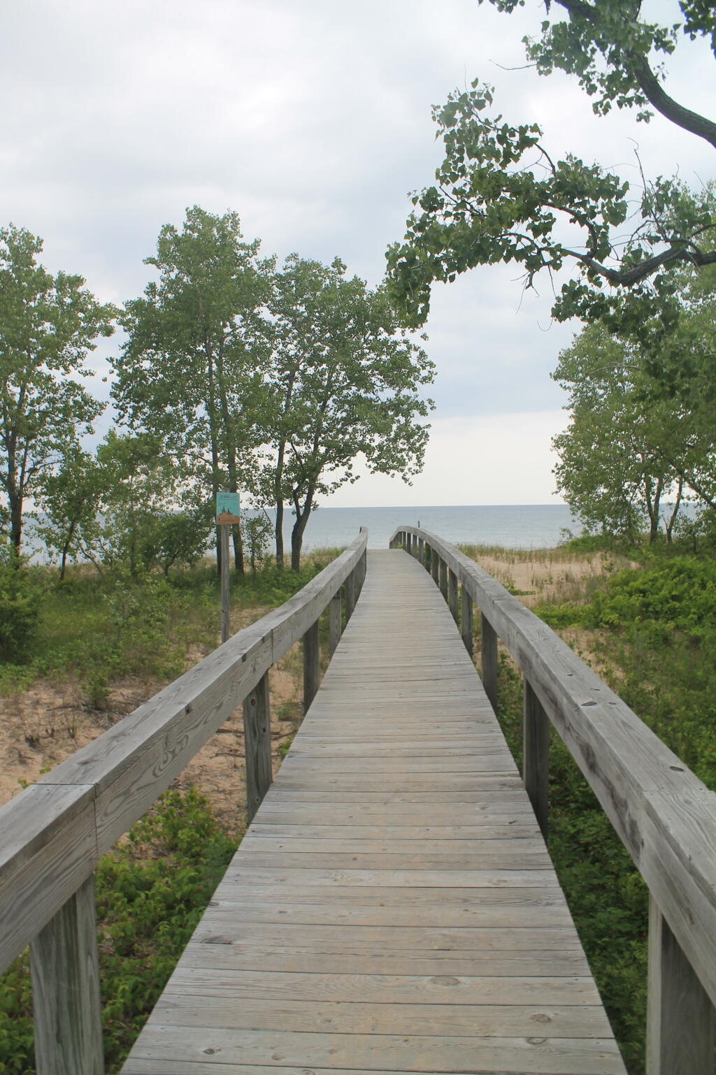 Photo: Boardwalk