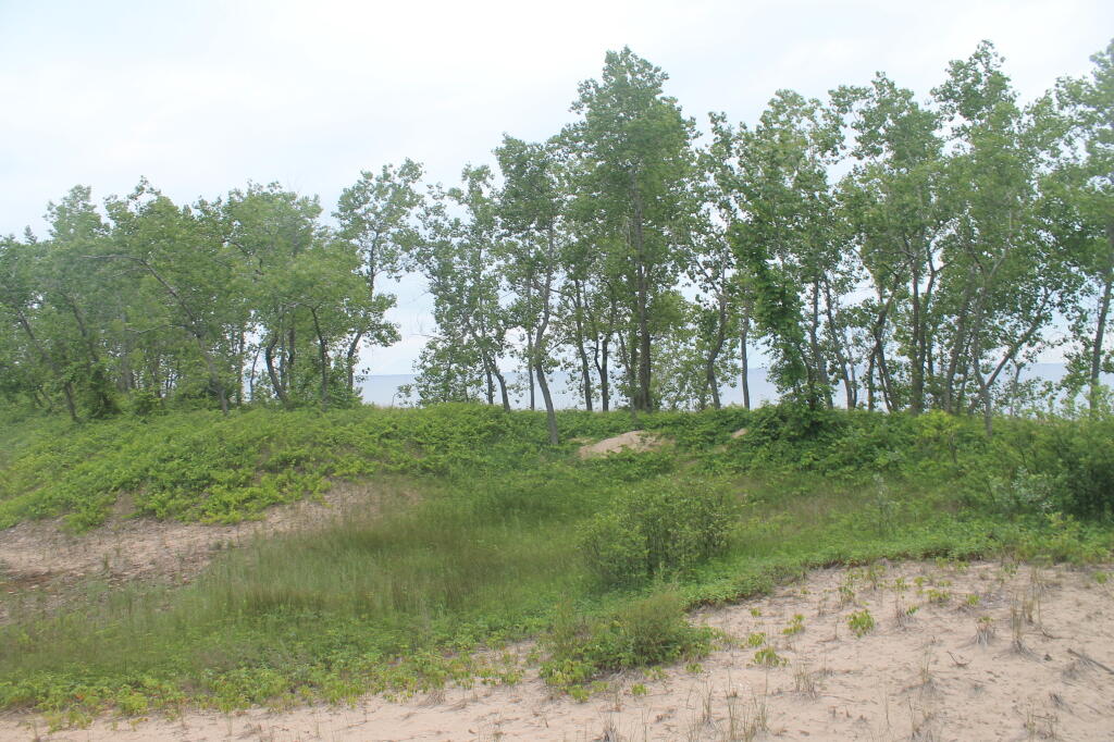 Photo: Sand Dunes