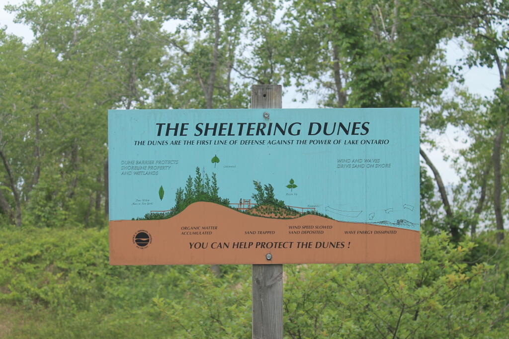 Photo: About the Dunes