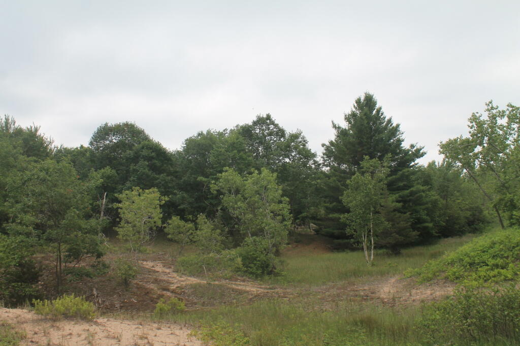 Photo: Between the Dunes