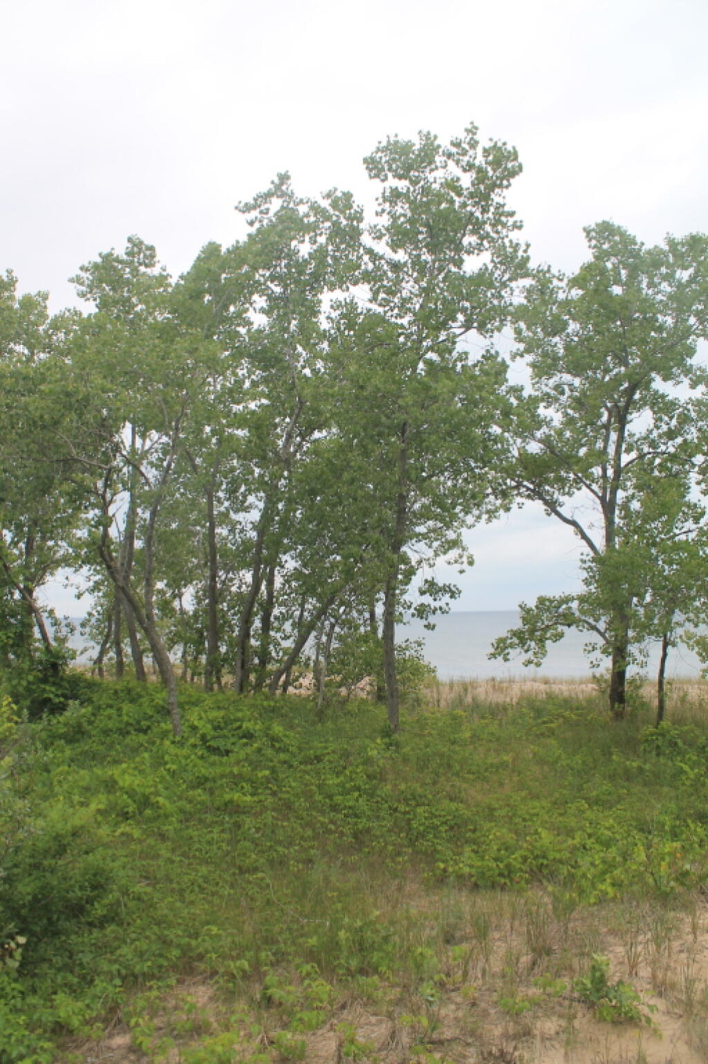 Photo: Looking Out at Lake Ontario