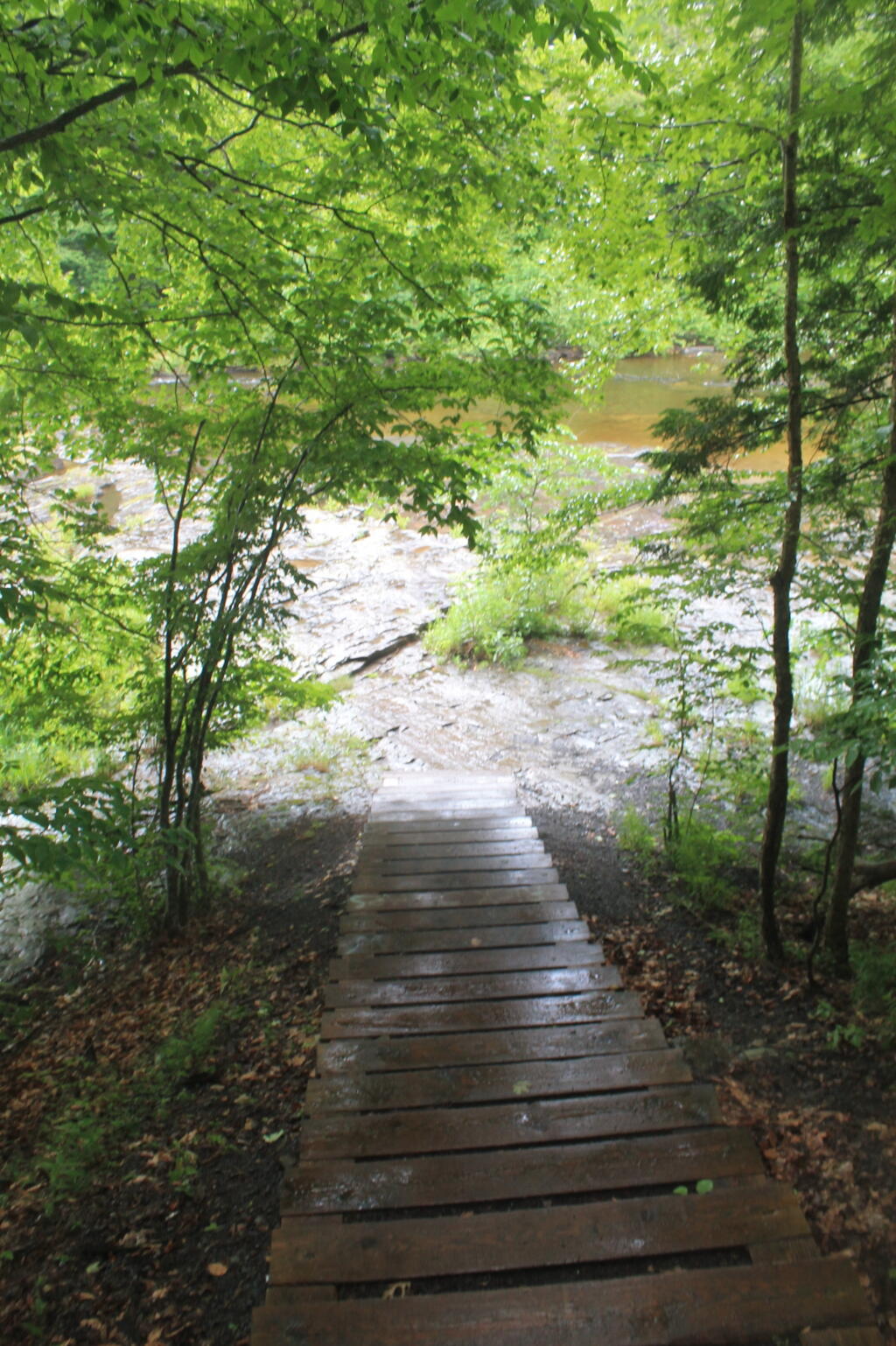 Photo: Stairway Down to Above Falls