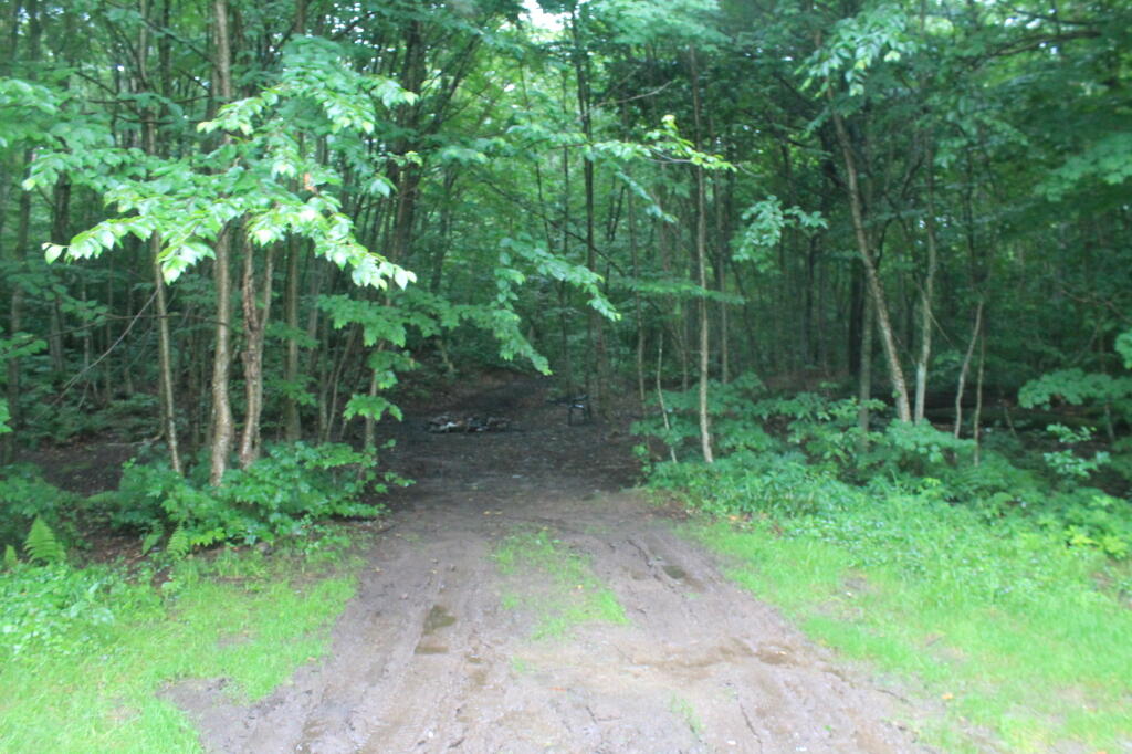 Photo: Undesignated Campsite at End of Hall Island Road