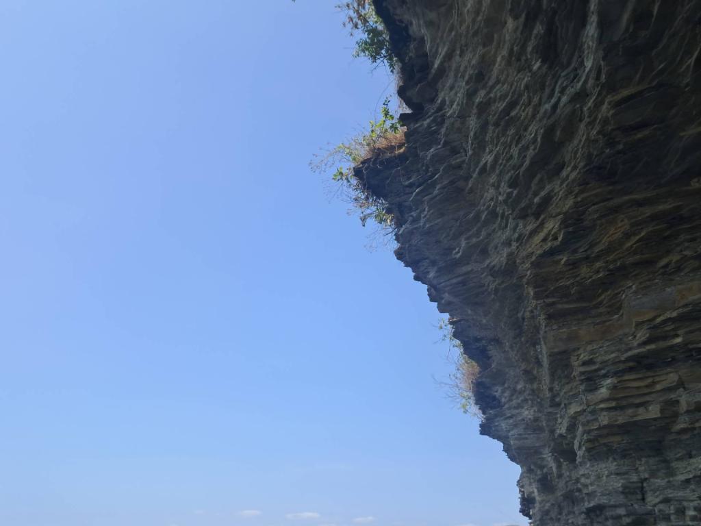 Photo: Untitled