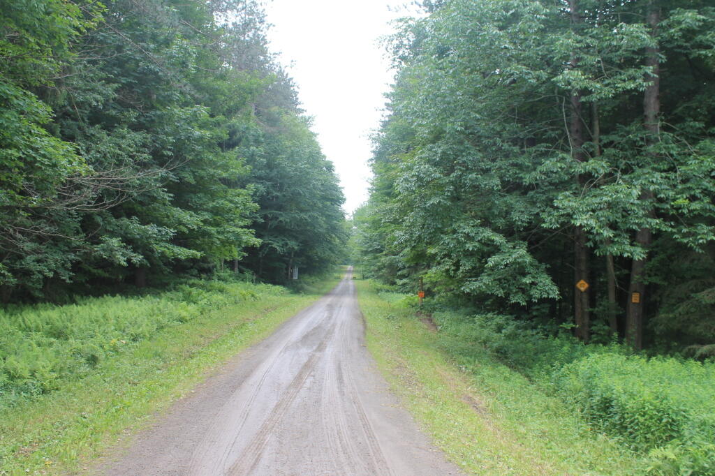 Photo: Bargy Road