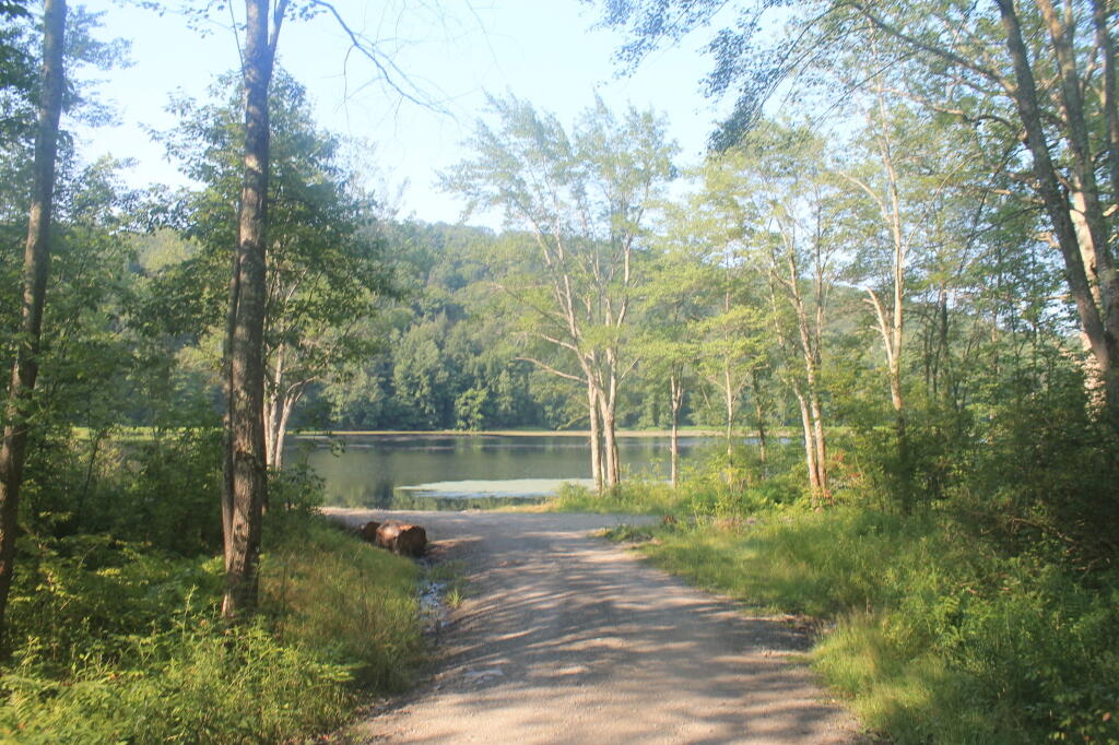 Photo: Heading Down to the Lake