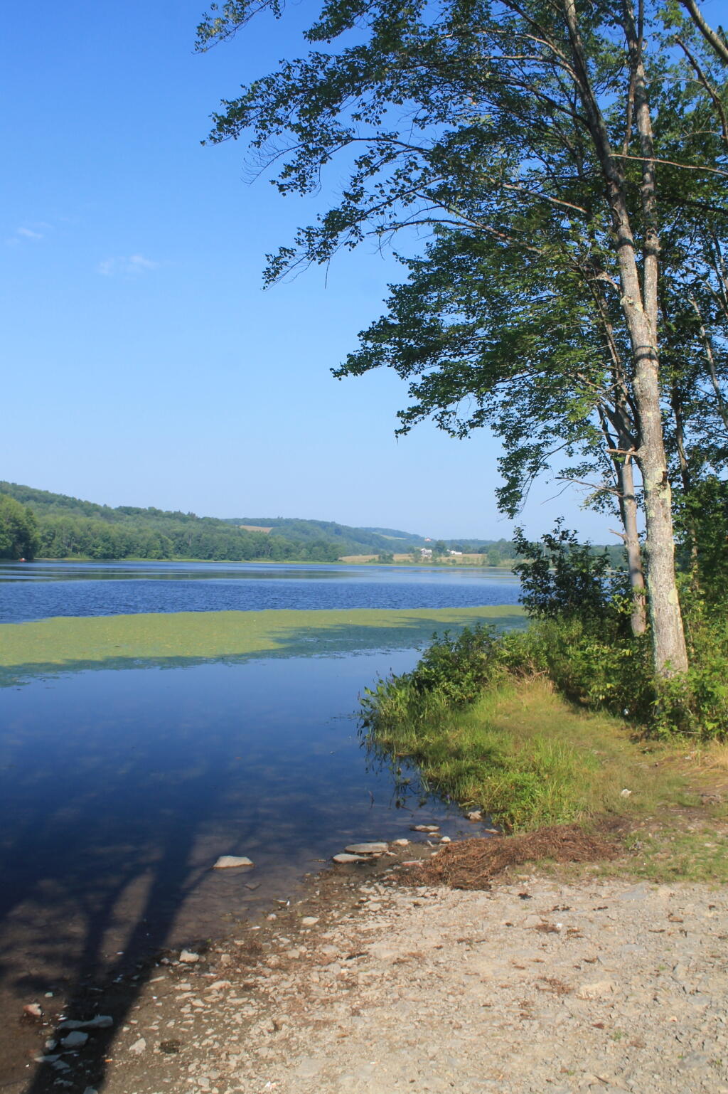 Photo: Lake Shore