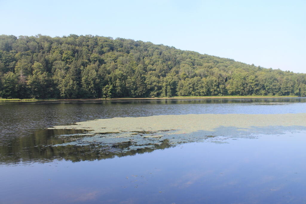 Photo: Long Pond