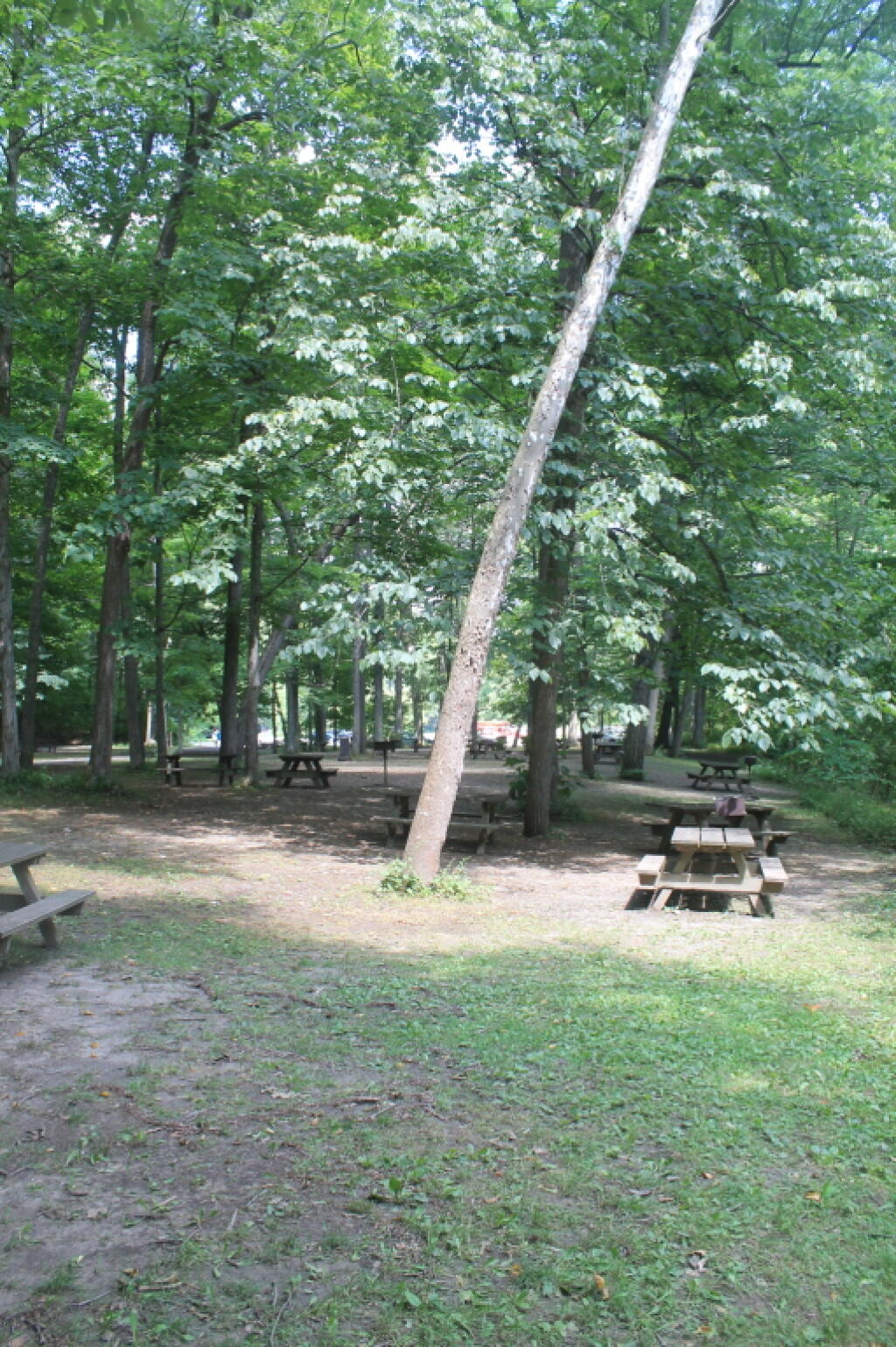 Photo: Largely Empty Picnic Area When Pool is Closed