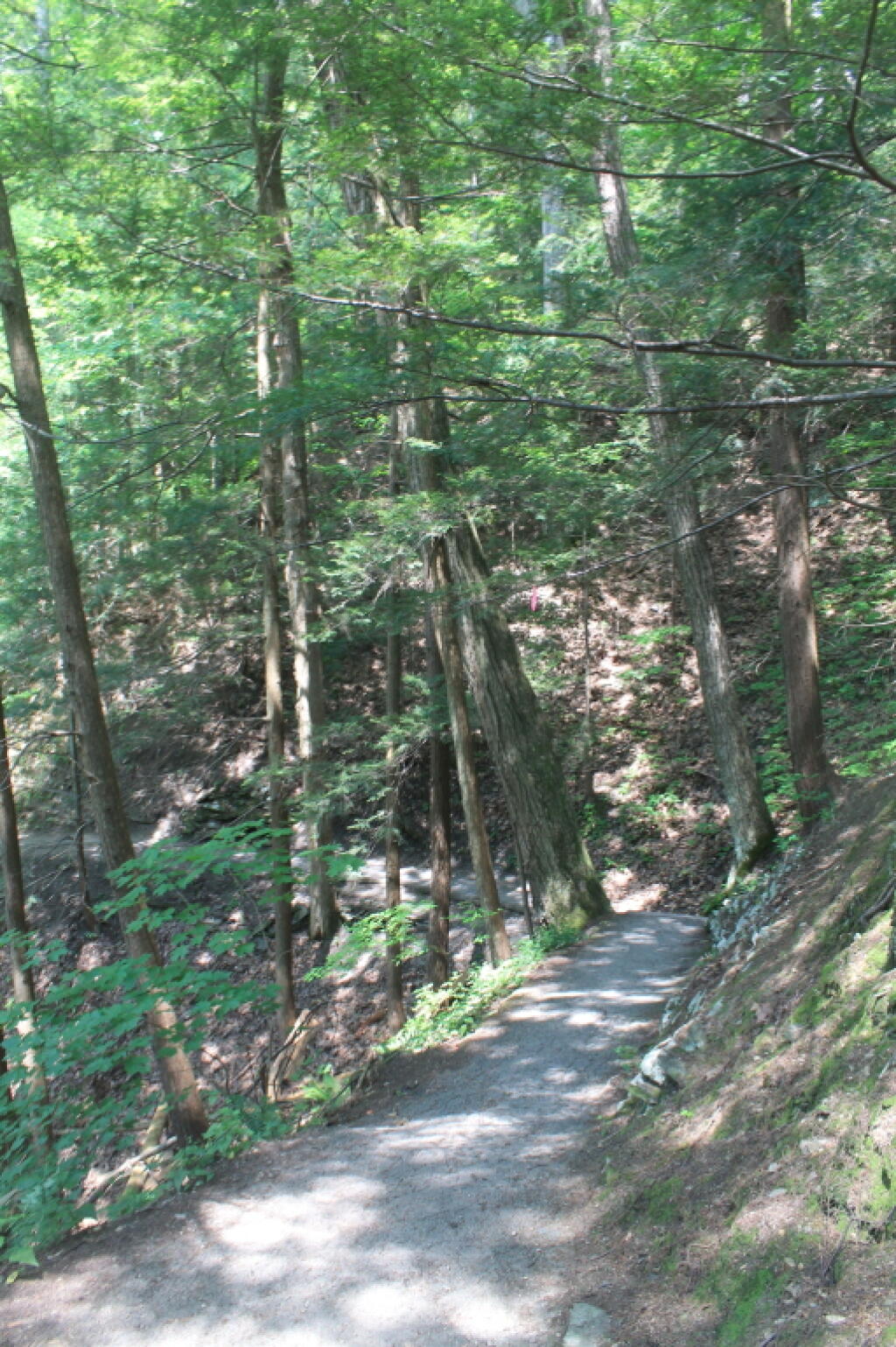 Photo: Foot Path in Lower Part of Gorge Trail