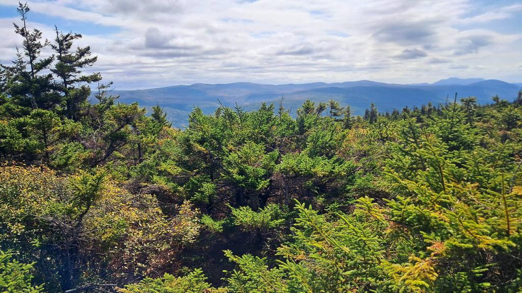 Photo: South West off Bald Mountain Summit