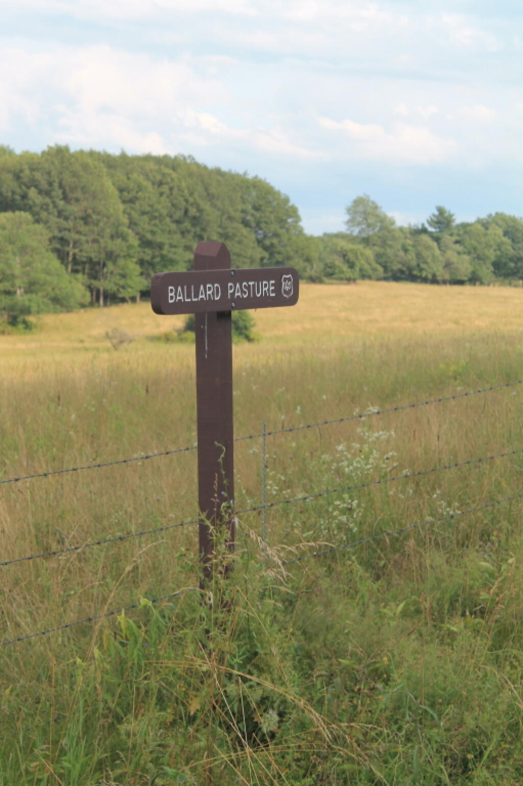 Photo: Ballard Pasture