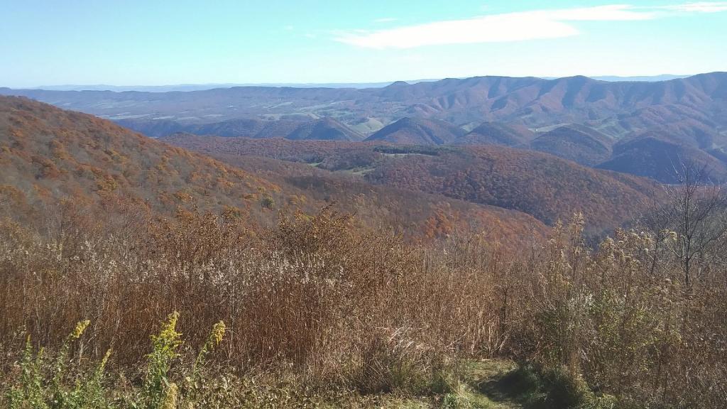 Photo: Northeast towards Petersburg