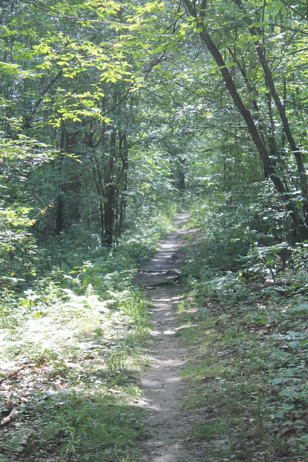 Photo: Gorge Trail