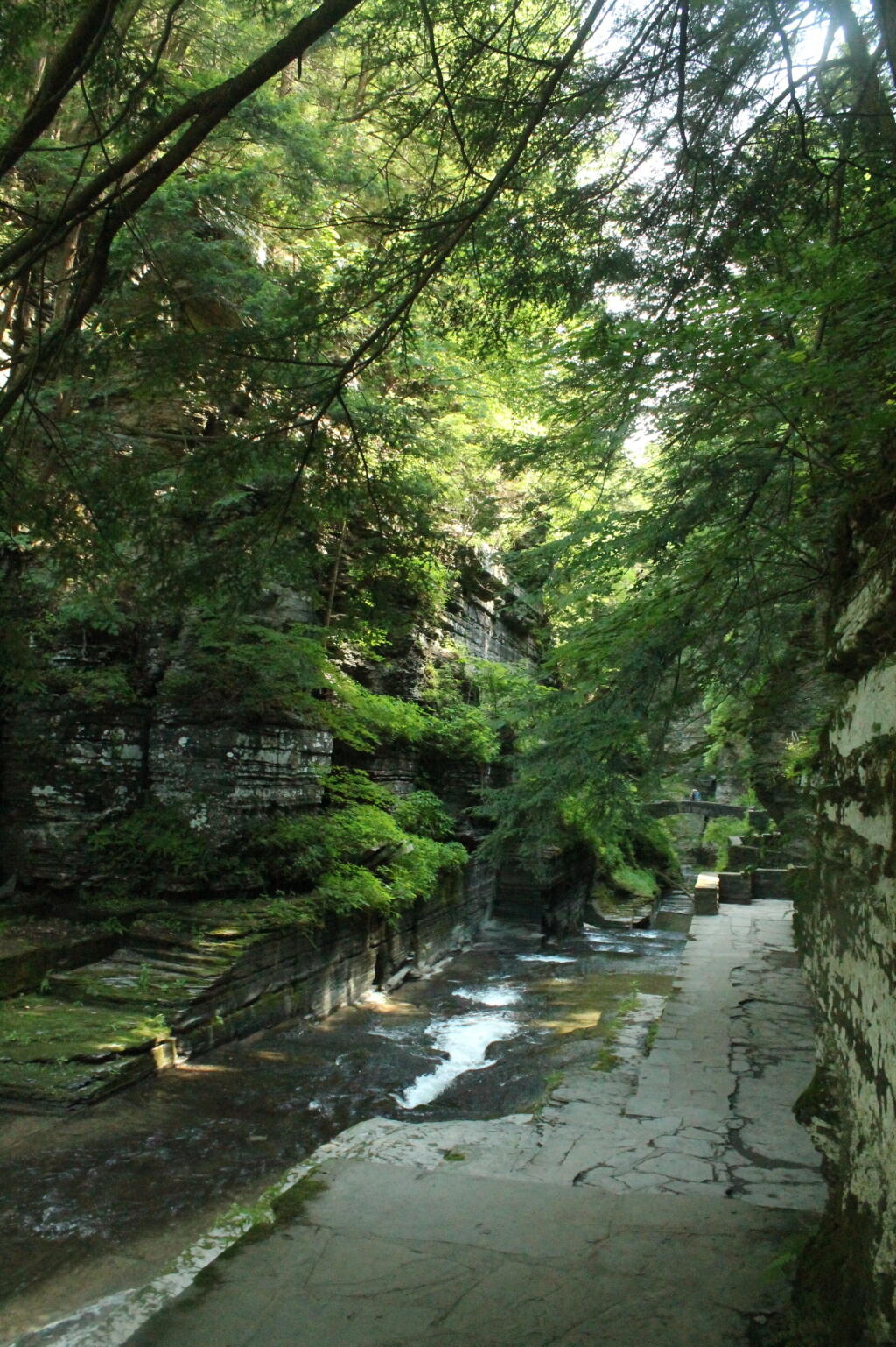 Photo: Walking Down Into Enfield Glen