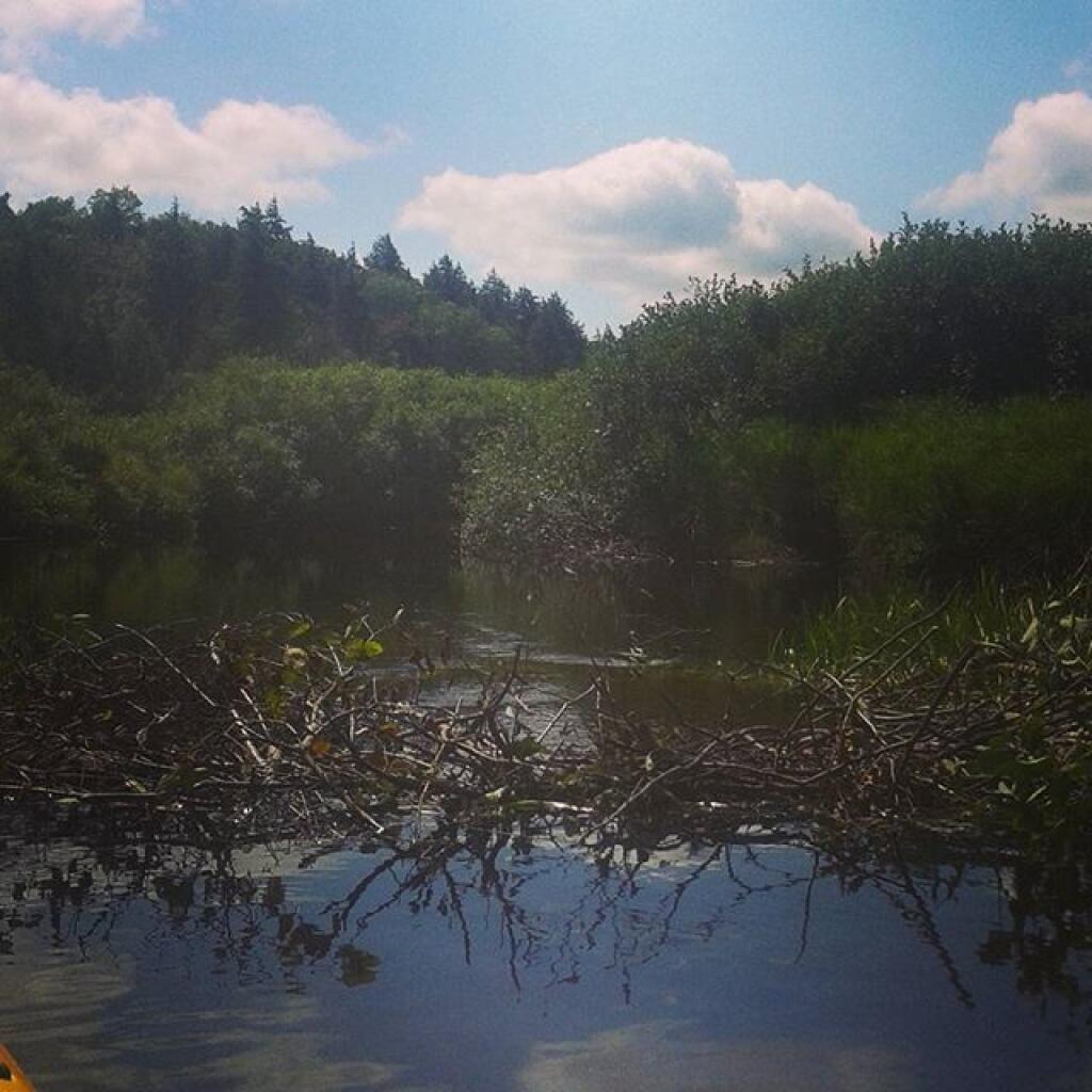Photo: Low water levels on the East Canada Creek made it impossible to go very far without portaging.