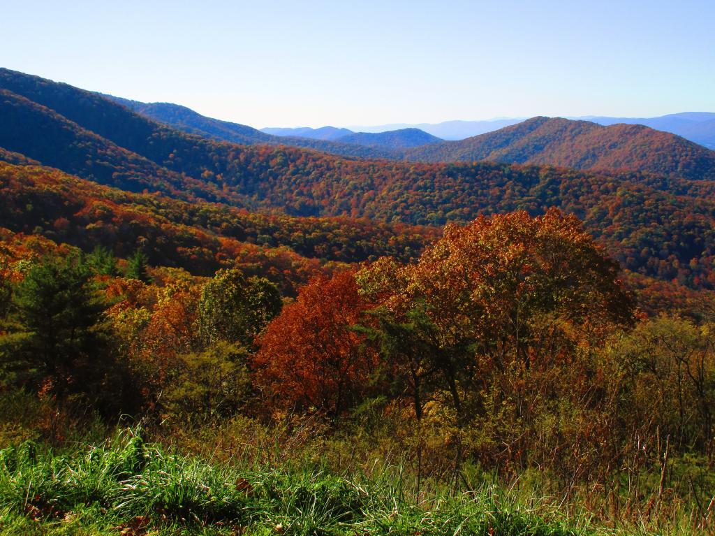 Photo: Colors on Backside of Shannandoah Mountain