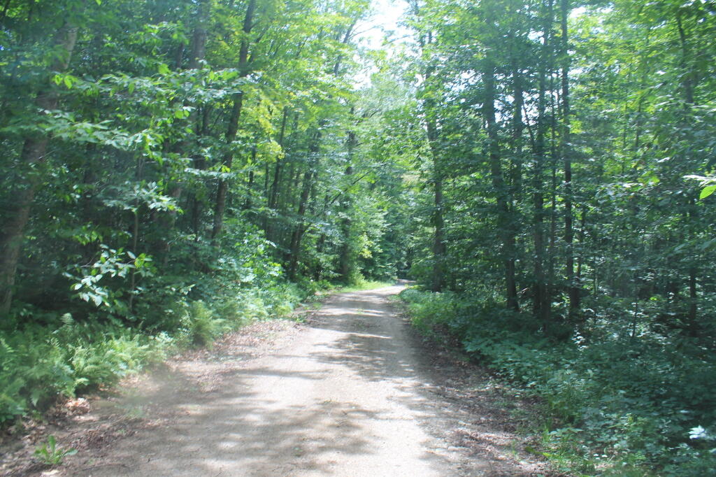 Photo: G Lake Road Near the End