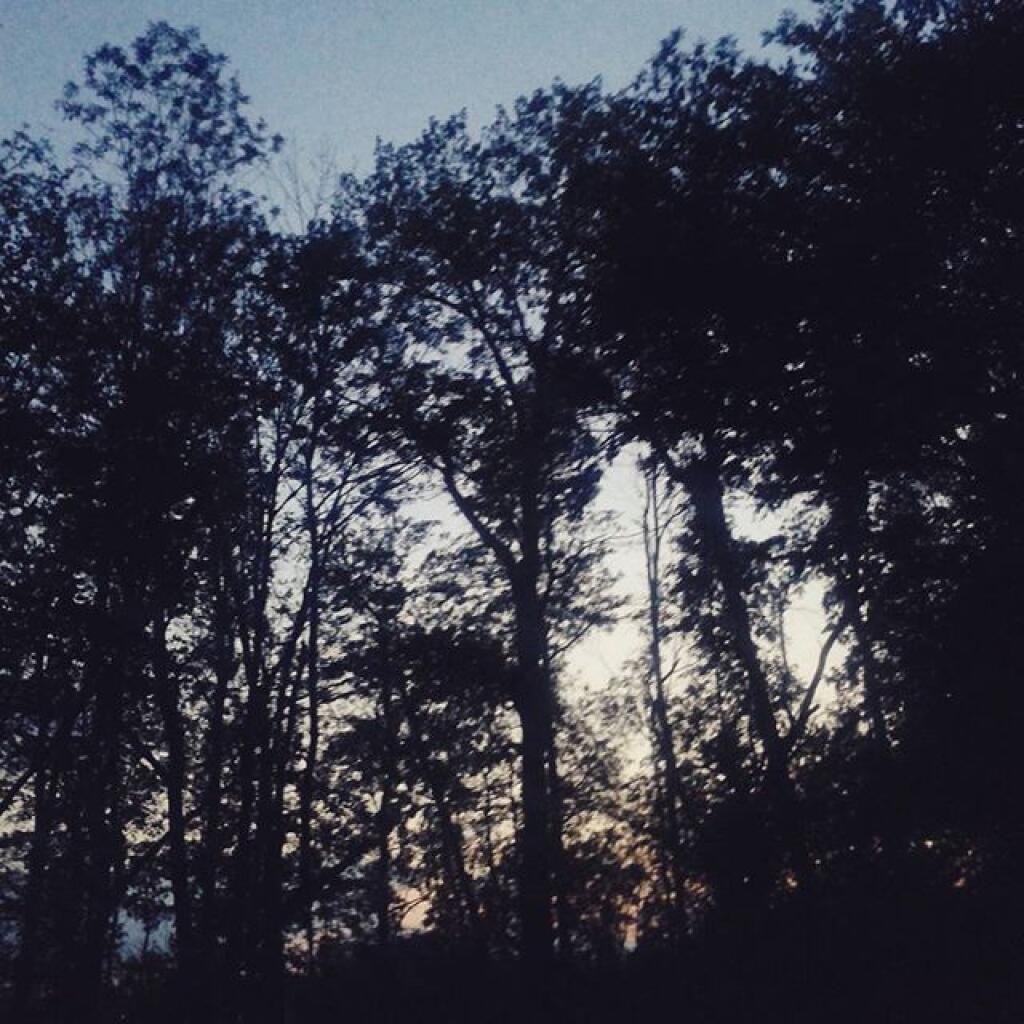 Photo: This evening