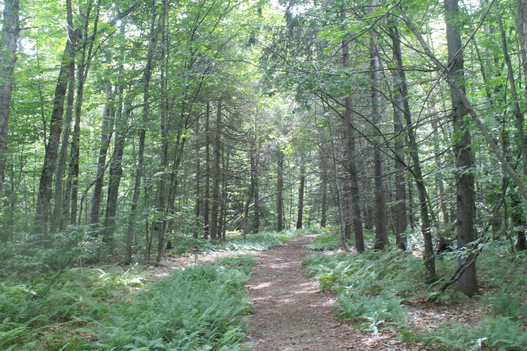 Photo: Easy Portage to G Lake Parking Area, 1/3 mile away