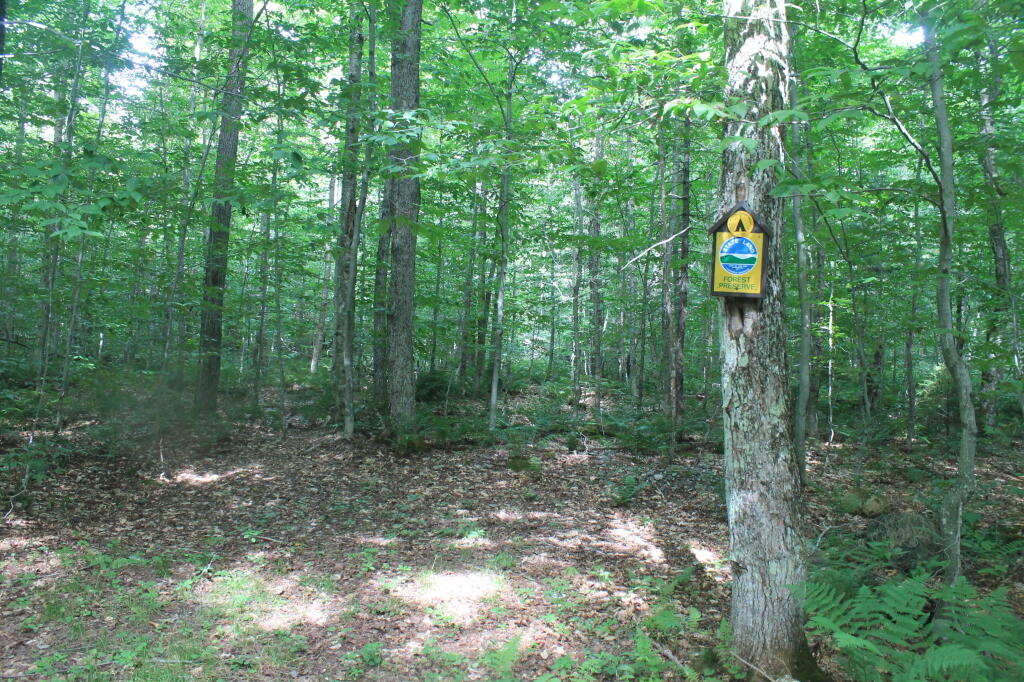 Photo: G Lake Road Campsite 1 is Totally Undeveloped