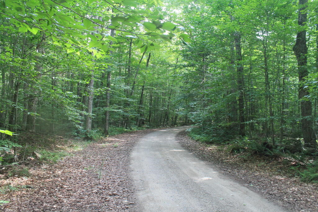 Photo: G Lake Road