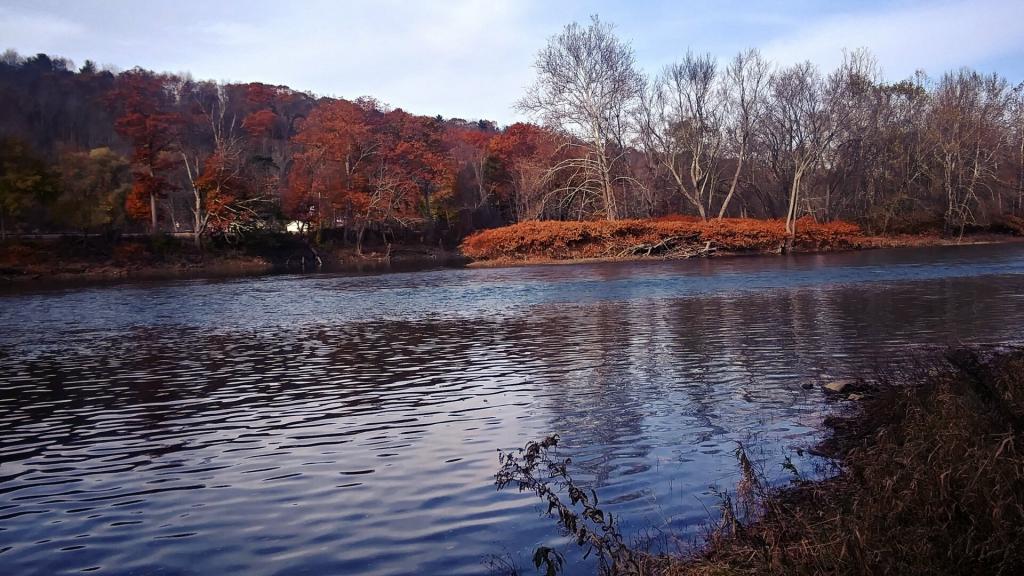 Photo: One of Many Forks of Chenango River